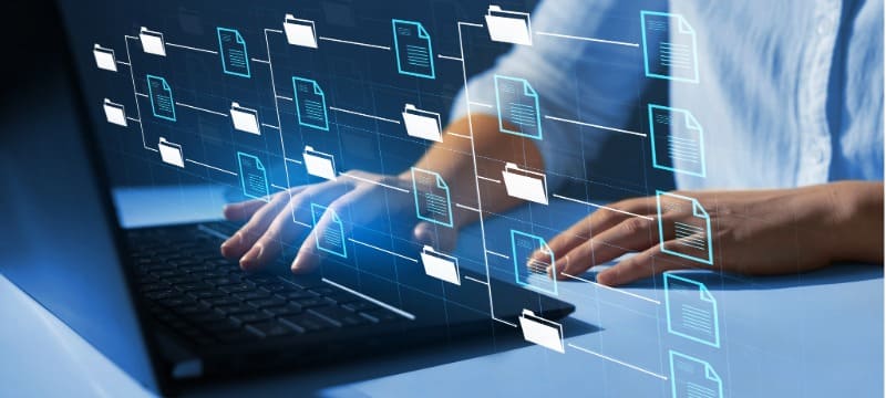Digital Content Production